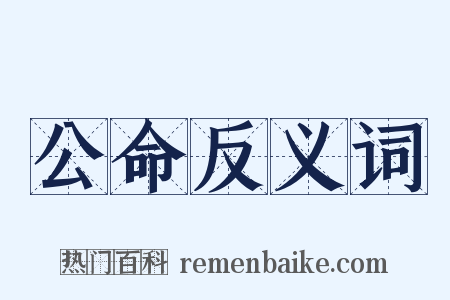 公命反义词是什么意思的图片